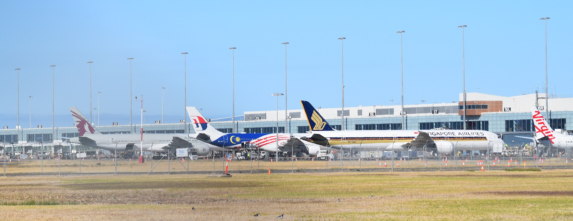 Adelaide Airport international arrivals